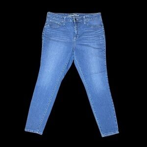 Mid rise blue jean skinny plus size